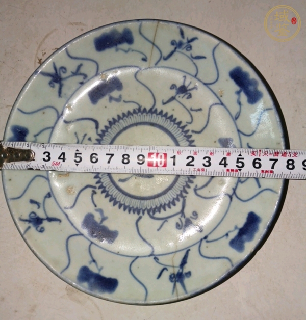 古玩陶瓷清雍正 青花纏枝蓮紋盤真品鑒賞圖
