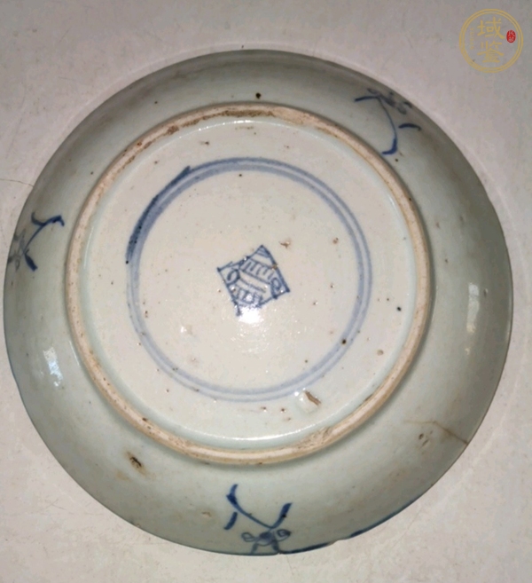 古玩陶瓷清雍正 青花纏枝蓮紋盤真品鑒賞圖