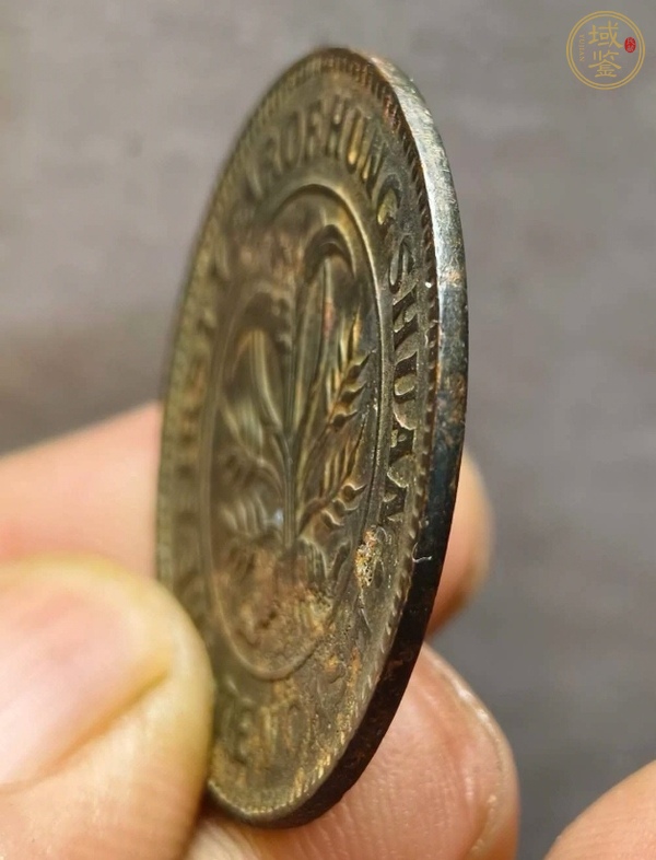 古玩錢(qián)幣湖南洪憲當(dāng)十銅元真品鑒賞圖