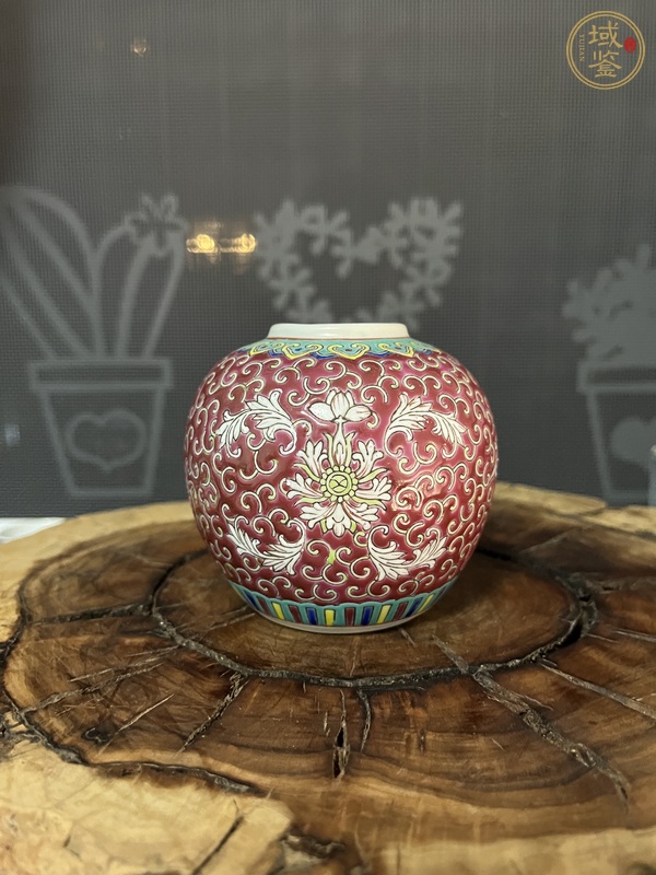 古玩陶瓷胭脂紅粉彩花卉紋罐真品鑒賞圖