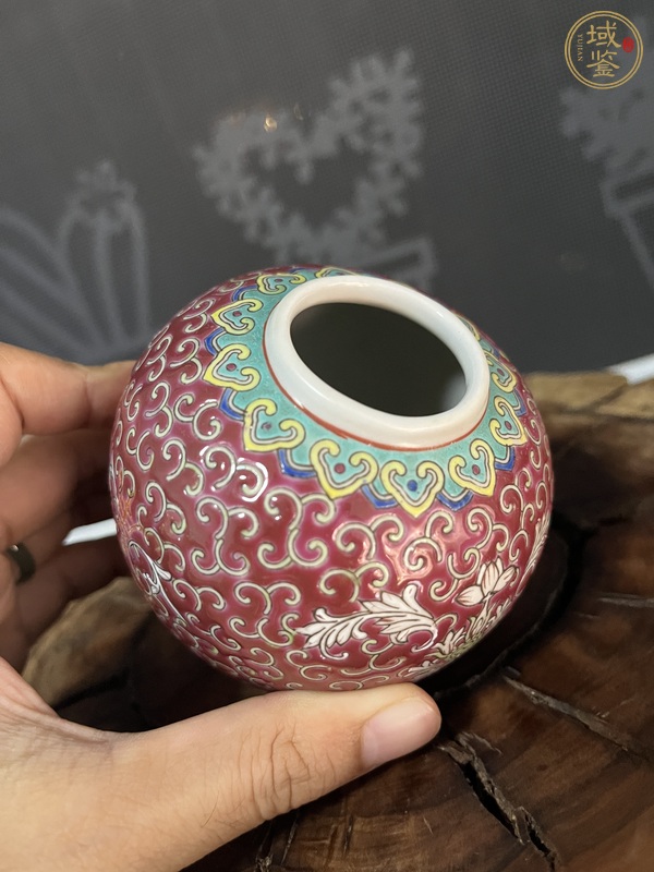 古玩陶瓷胭脂紅粉彩花卉紋罐真品鑒賞圖