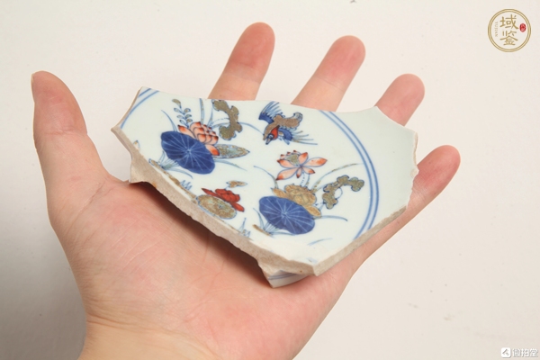 古玩陶瓷斗彩標本真品鑒賞圖