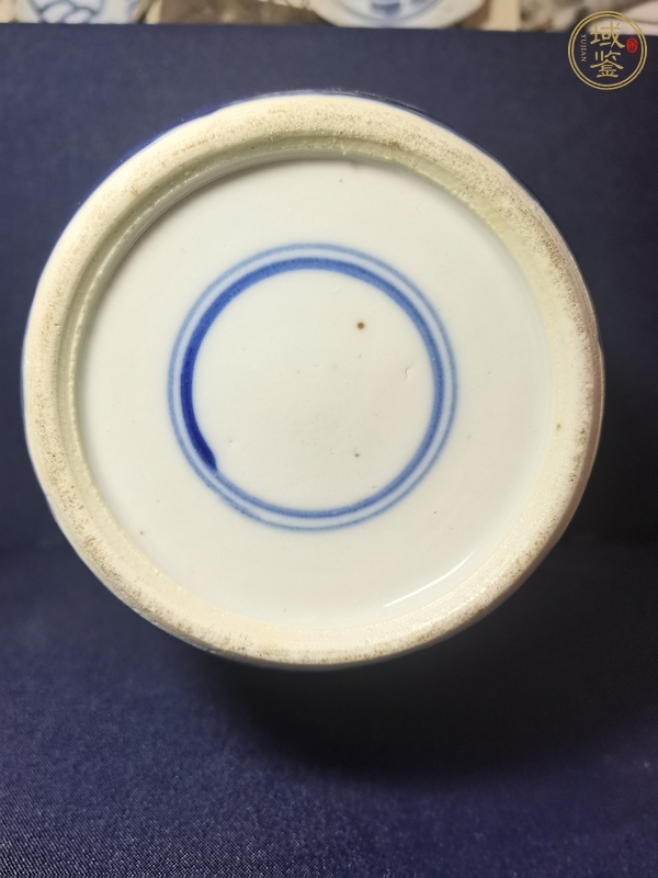 古玩陶瓷青花留白梅紋開光花鳥紋罐真品鑒賞圖