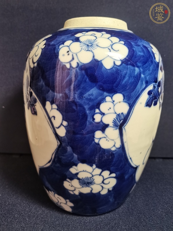 古玩陶瓷青花留白梅紋開光花鳥紋罐真品鑒賞圖