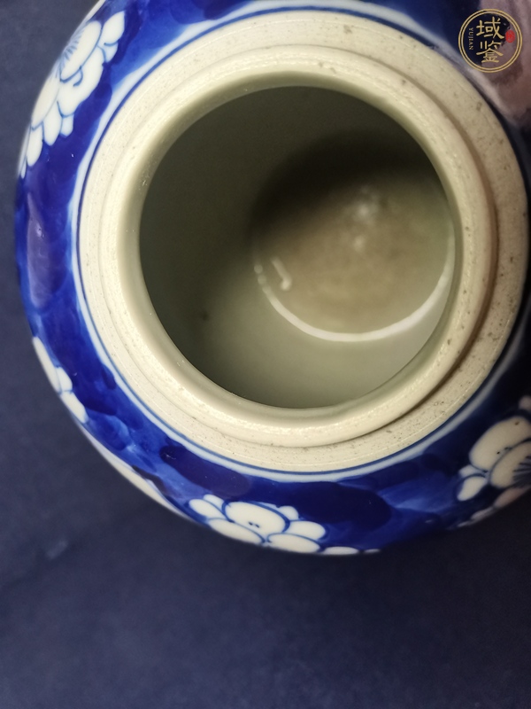 古玩陶瓷青花留白梅紋開光花鳥紋罐真品鑒賞圖