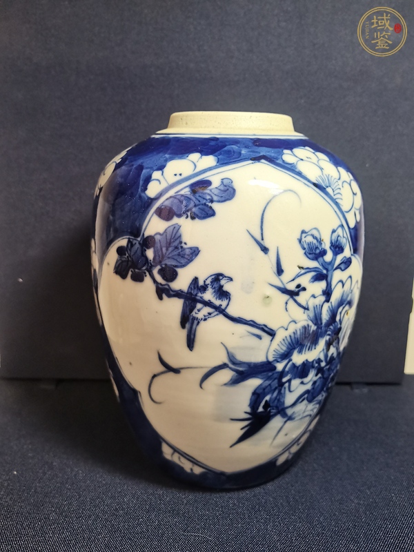 古玩陶瓷青花留白梅紋開光花鳥紋罐真品鑒賞圖