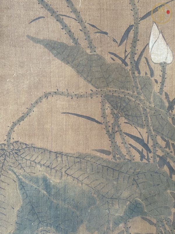 古玩字畫荷韻真品鑒賞圖