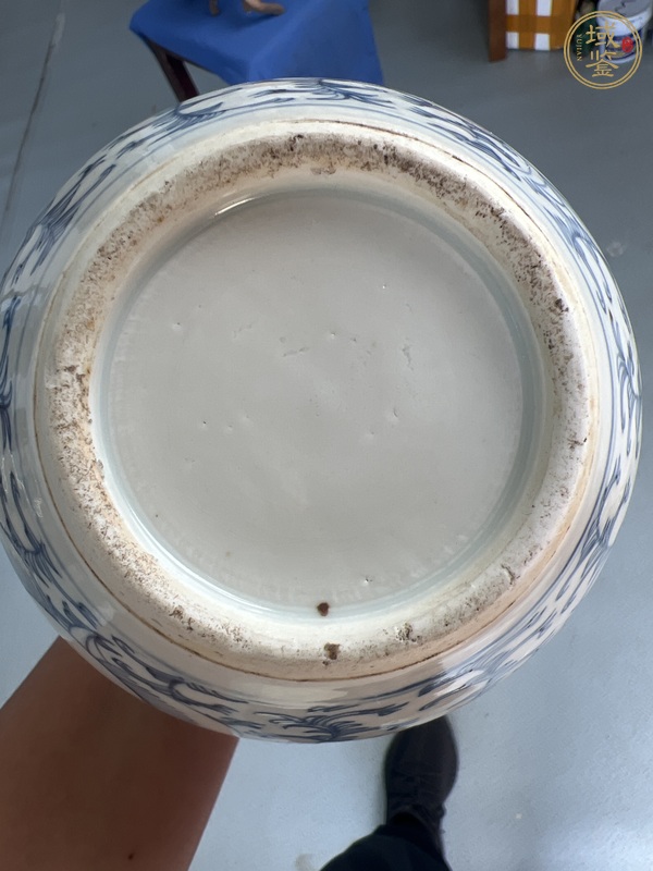 古玩青花纏枝花紋天球瓶真品鑒賞圖
