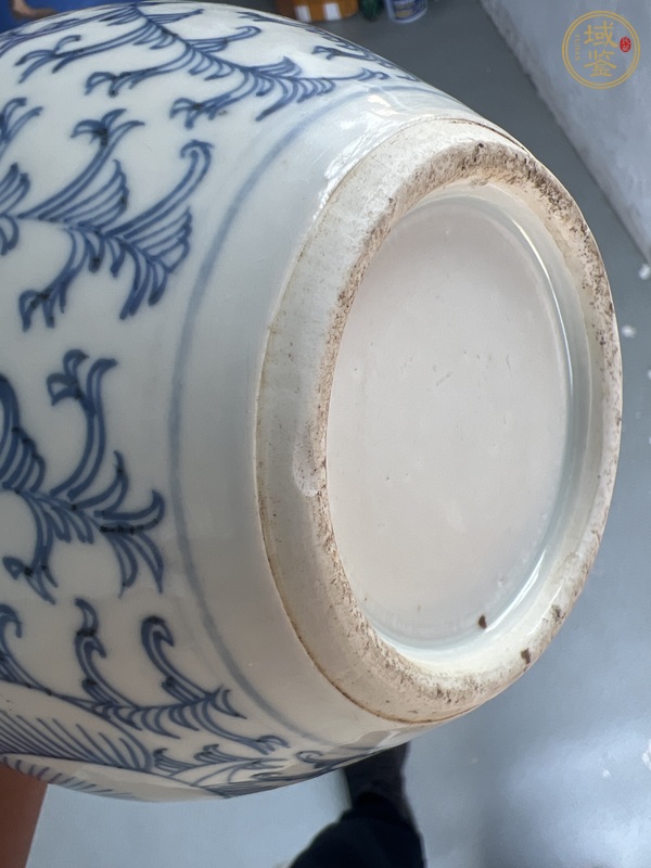 古玩陶瓷青花纏枝花紋天球瓶真品鑒賞圖
