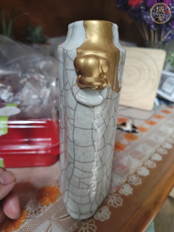 古玩陶瓷雙鋪首瓶標(biāo)本真品鑒賞圖