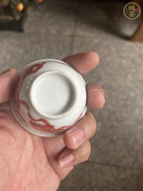 古玩陶瓷礬紅獅紋杯真品鑒賞圖