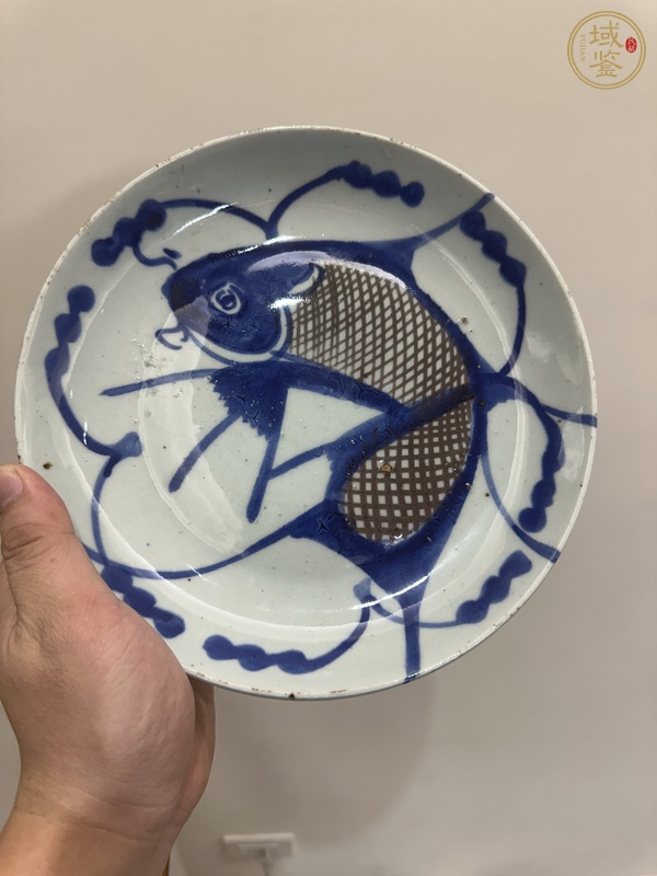古玩陶瓷青花釉里紅魚藻紋盤真品鑒賞圖