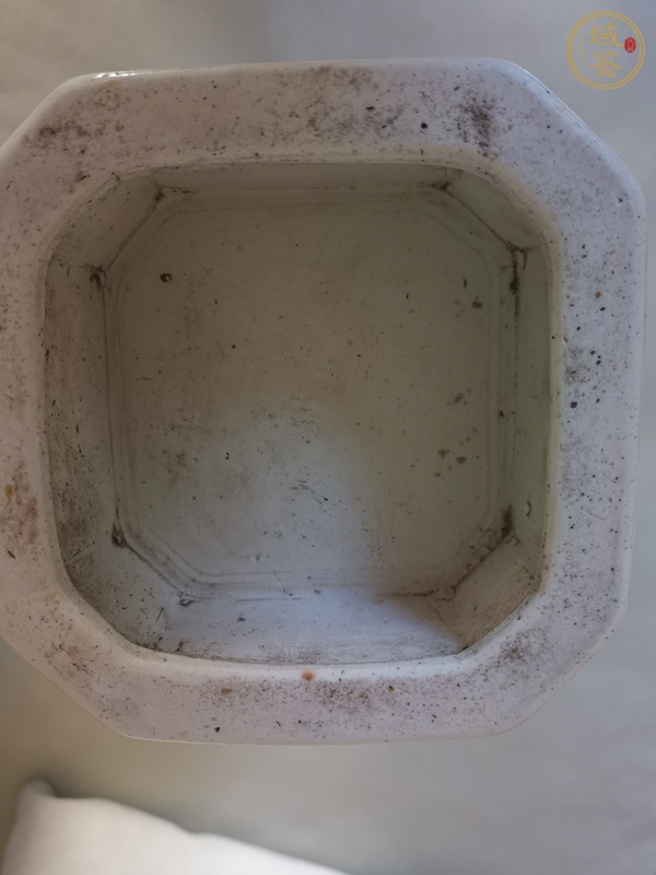 古玩陶瓷清中·青花花卉紋輔首瓶 真品鑒賞圖