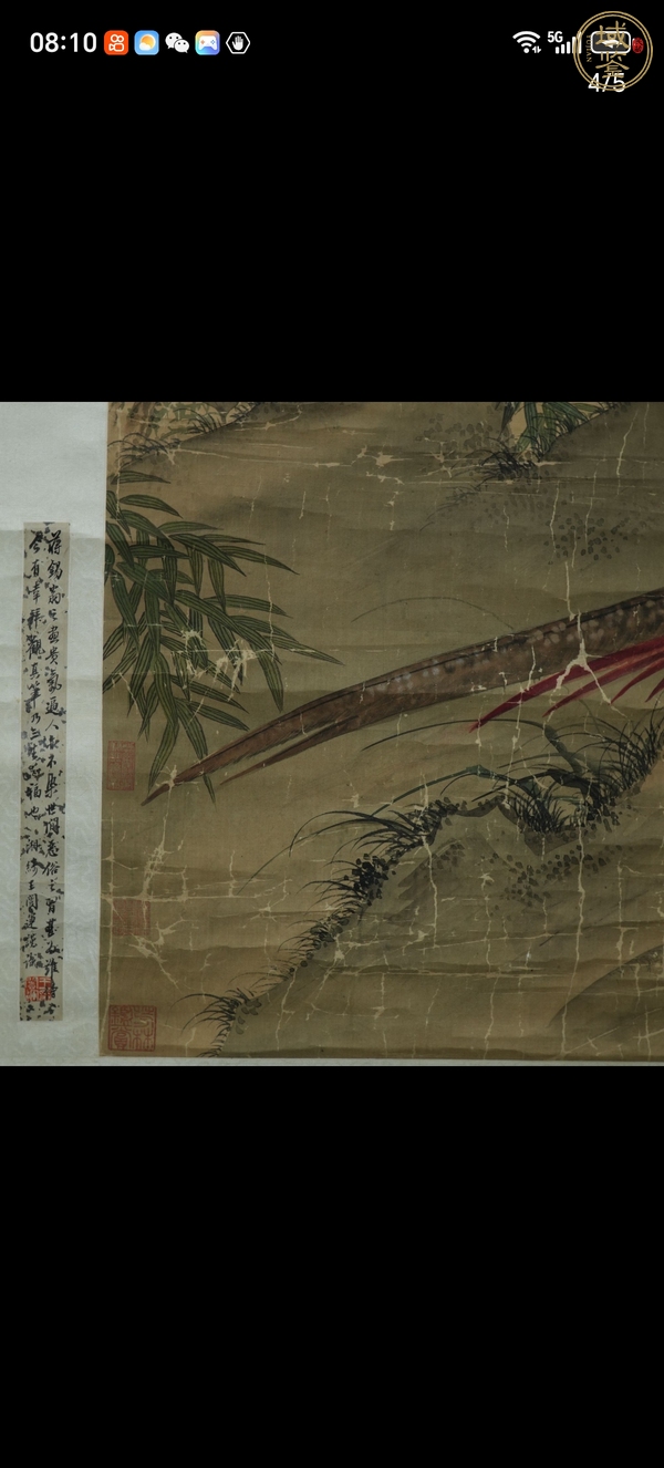 古玩花鳥圖真品鑒賞圖