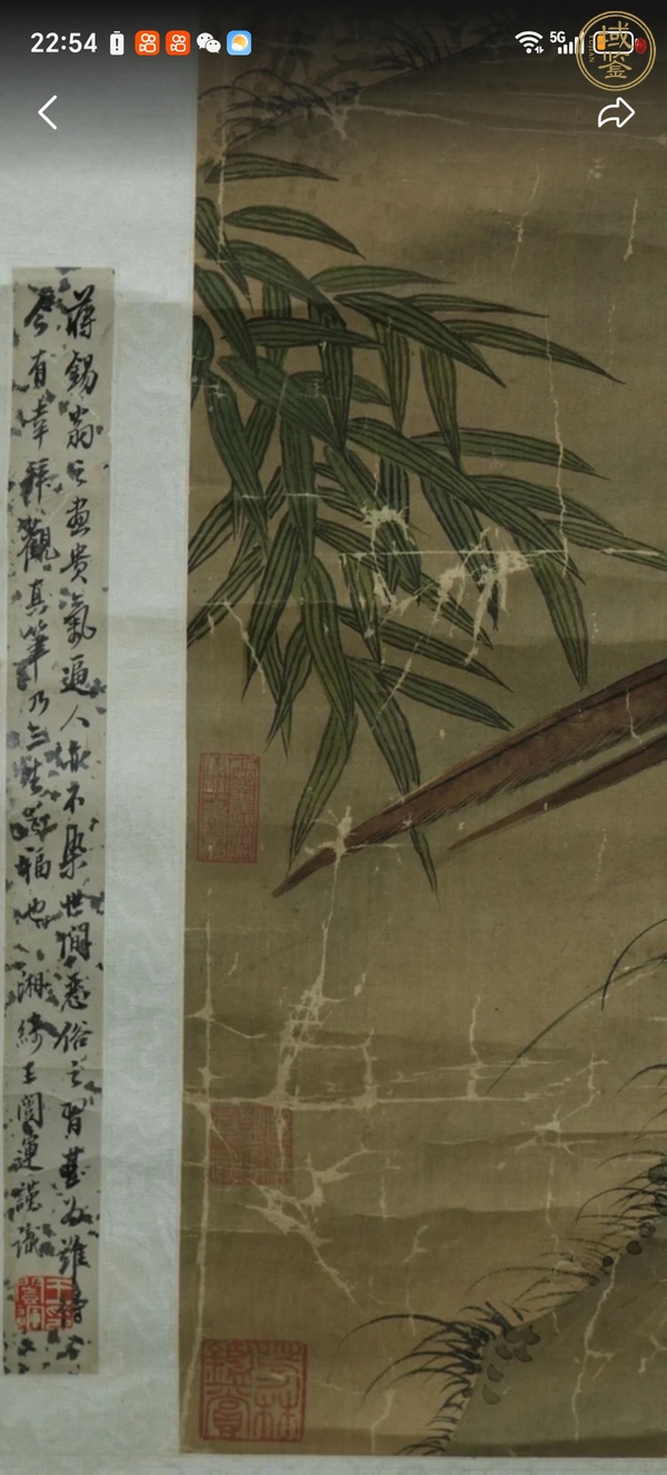 古玩字畫(huà)花鳥(niǎo)圖真品鑒賞圖