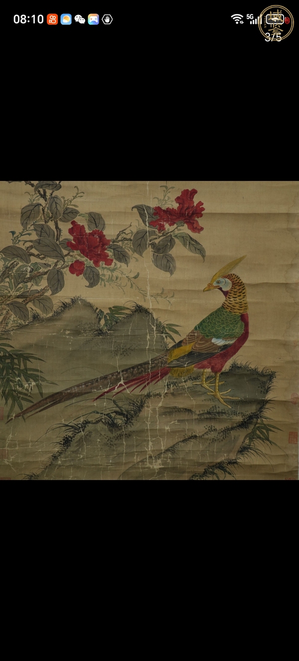 古玩字畫(huà)花鳥(niǎo)圖真品鑒賞圖