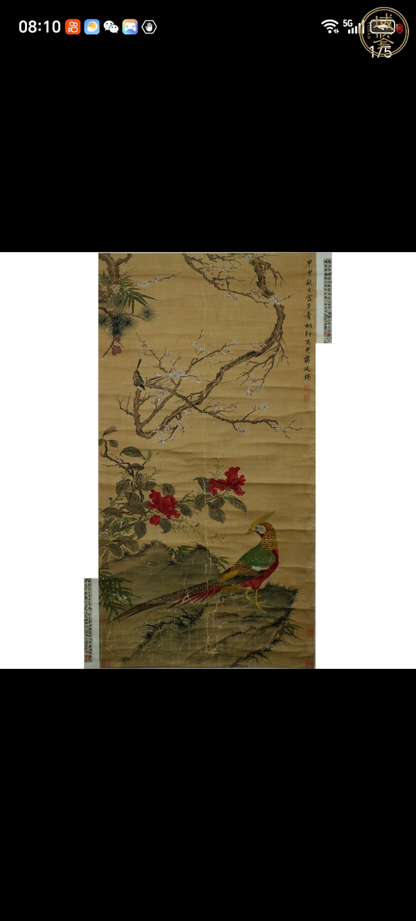 古玩字畫(huà)花鳥(niǎo)圖真品鑒賞圖