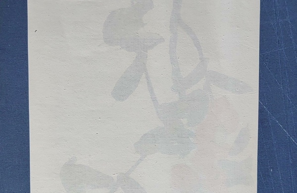 古玩字畫8090年代《齊白石木板水印》拍賣，當前價格120元