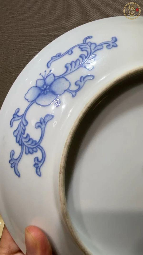 古玩陶瓷琺瑯彩飛鳴宿食紋盤真品鑒賞圖