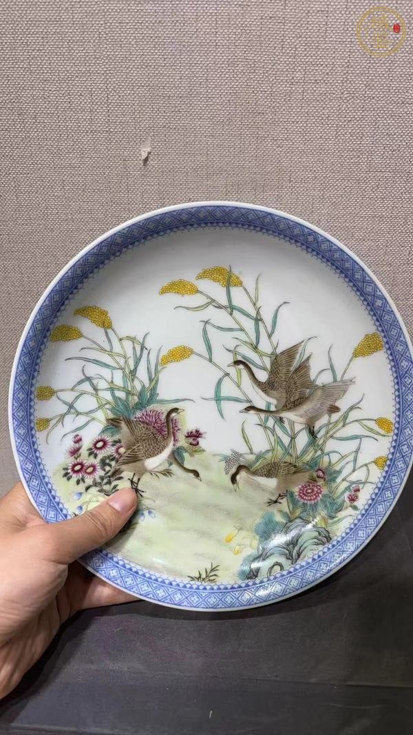 古玩陶瓷琺瑯彩飛鳴宿食紋盤真品鑒賞圖