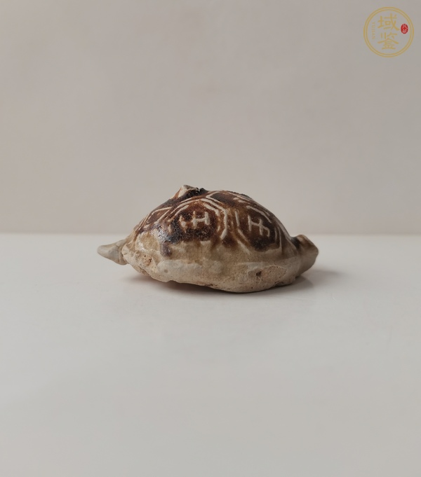 古玩陶瓷長(zhǎng)沙窯褐釉龜真品鑒賞圖