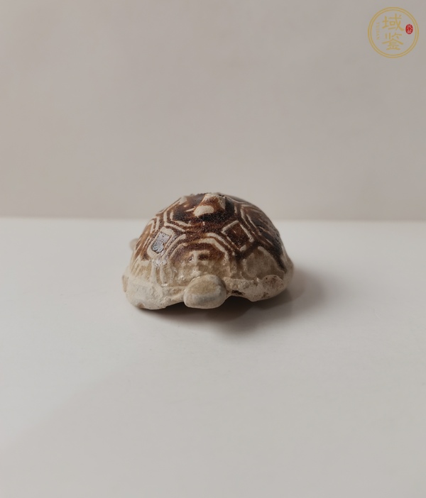 古玩陶瓷長(zhǎng)沙窯褐釉龜真品鑒賞圖