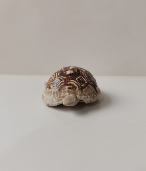 古玩陶瓷長(zhǎng)沙窯褐釉龜拍賣(mài)，當(dāng)前價(jià)格0元