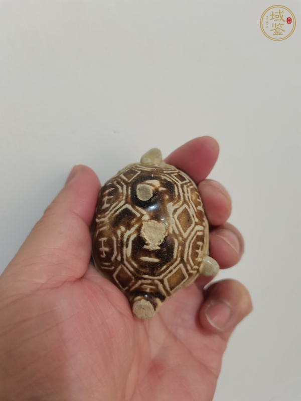 古玩陶瓷長(zhǎng)沙窯褐釉龜真品鑒賞圖
