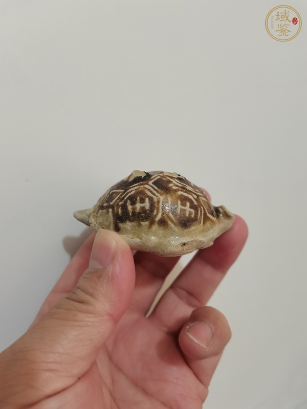 古玩陶瓷長(zhǎng)沙窯褐釉龜真品鑒賞圖