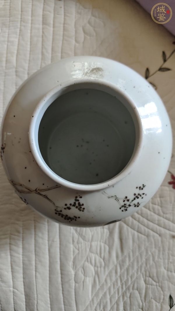古玩陶瓷粉彩仕女紋將軍罐真品鑒賞圖