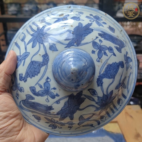 古玩花鳥紋青花蓋子真品鑒賞圖