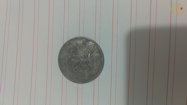 古玩湖南省造雙旗銅元真品鑒賞圖