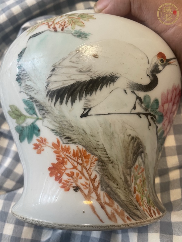 古玩徐善琴款花鳥紋將軍罐真品鑒賞圖