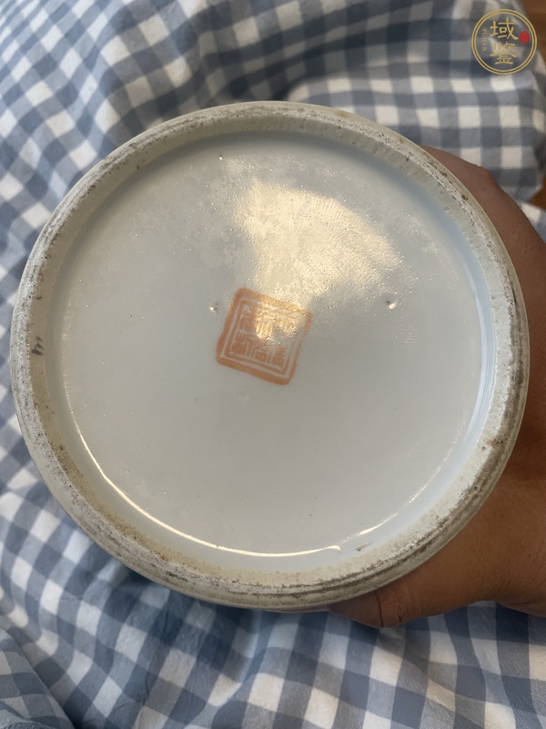 古玩陶瓷徐善琴款花鳥紋將軍罐真品鑒賞圖