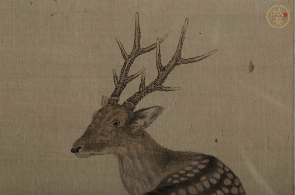 古玩字畫麇鹿真品鑒賞圖