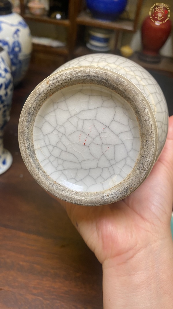 古玩陶瓷哥釉瓶真品鑒賞圖