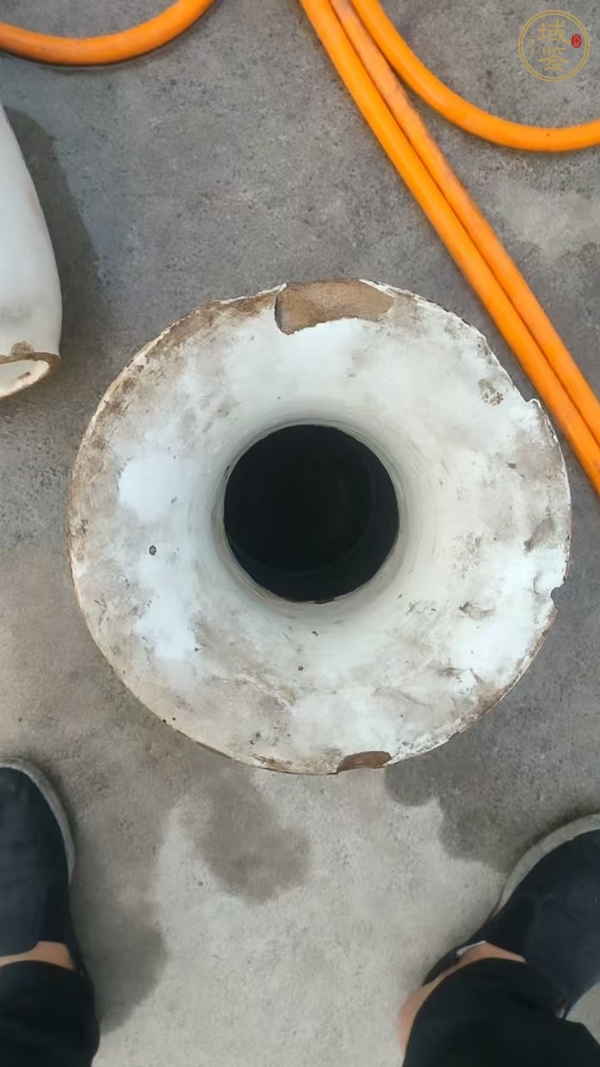 古玩陶瓷新粉彩柳鶯瓶真品鑒賞圖