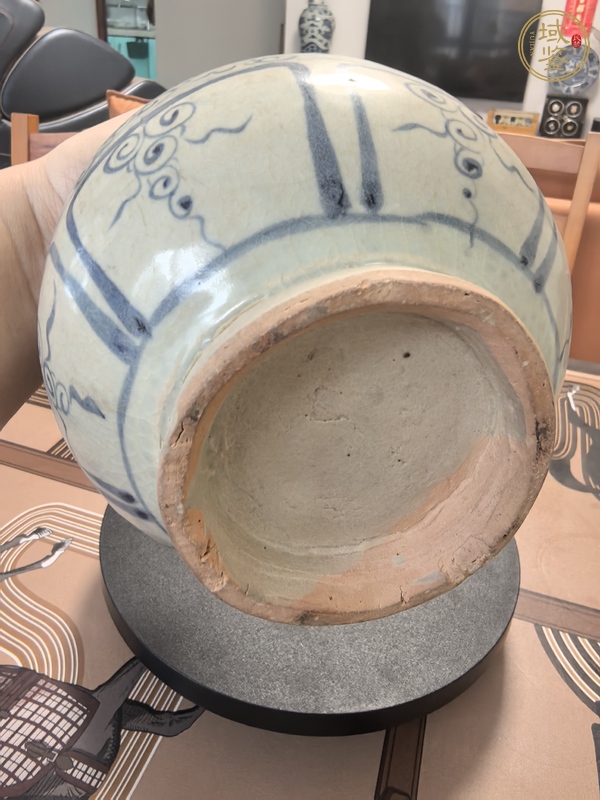 古玩陶瓷元代·青花蓮花紋玉壺春瓶 真品鑒賞圖
