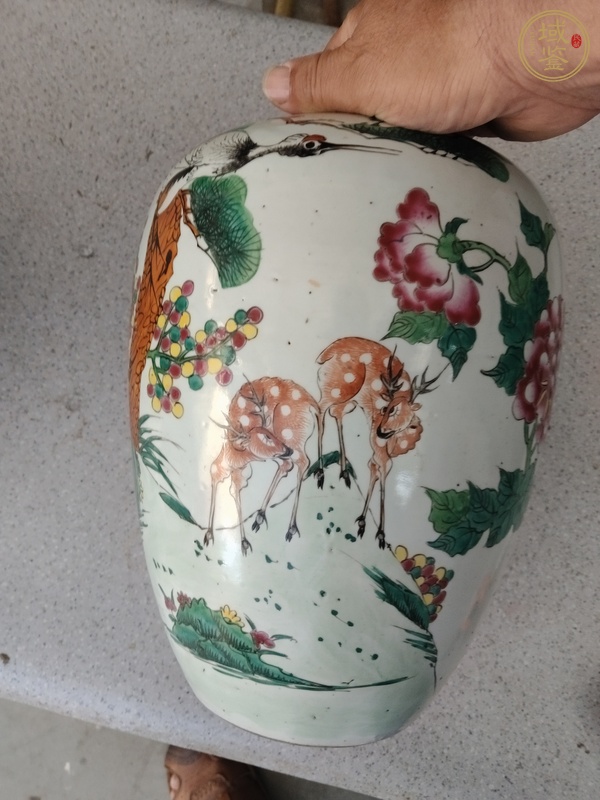 古玩陶瓷粉彩松鶴紋冬瓜罐真品鑒賞圖