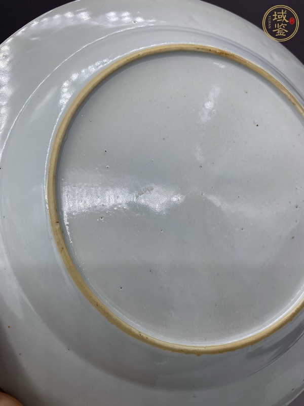 古玩陶瓷粉彩引鳳紋盤真品鑒賞圖