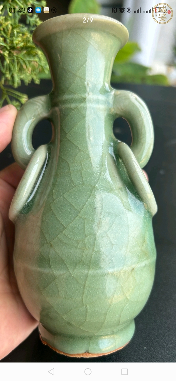 古玩龍泉青釉雙耳瓶真品鑒賞圖