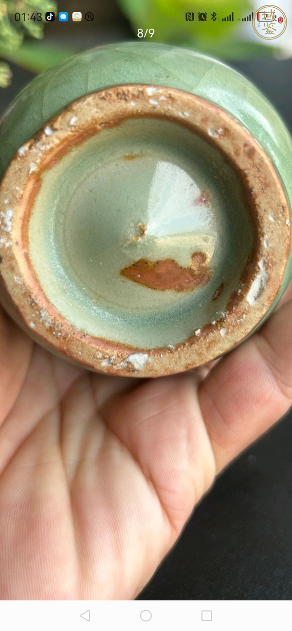 古玩陶瓷龍泉青釉雙耳瓶真品鑒賞圖