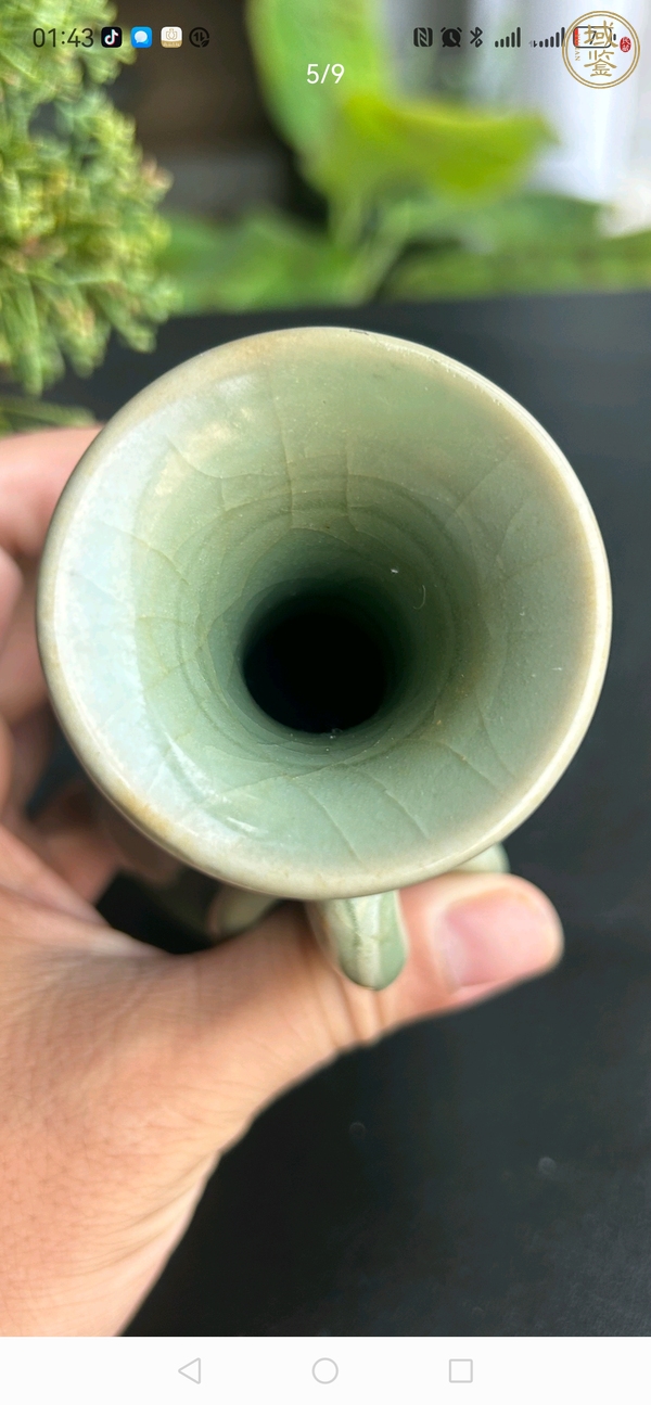 古玩陶瓷龍泉青釉雙耳瓶真品鑒賞圖