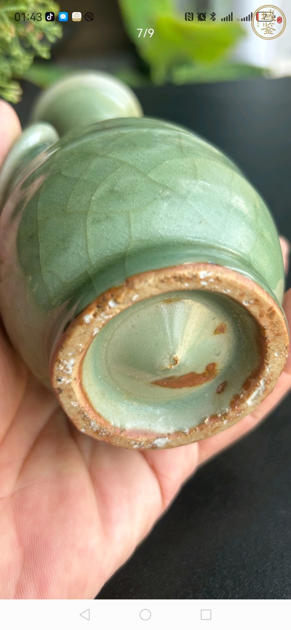 古玩陶瓷龍泉青釉雙耳瓶真品鑒賞圖