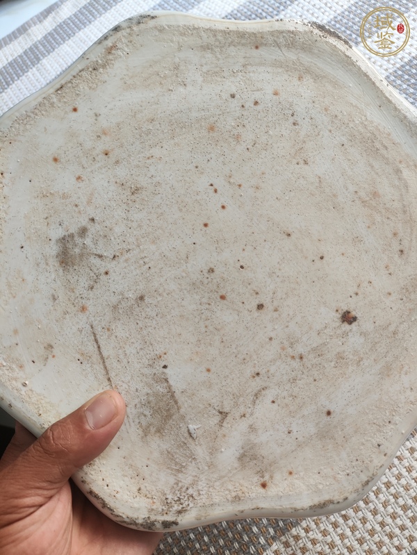 古玩陶瓷花卉紋粉彩盤真品鑒賞圖