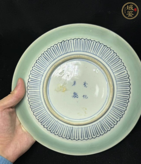 古玩陶瓷豆青釉青花盤真品鑒賞圖