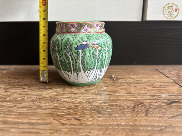 古玩萊菔蝶紋廣彩罐真品鑒賞圖