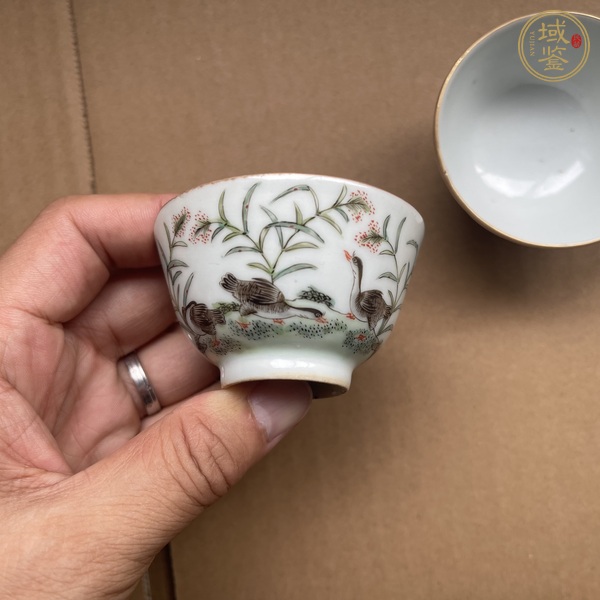 古玩陶瓷粉彩杯真品鑒賞圖