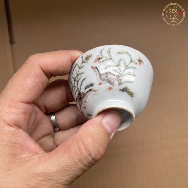 古玩陶瓷粉彩杯真品鑒賞圖