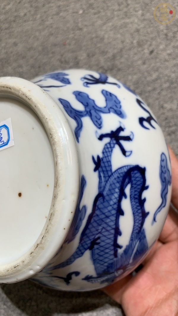 古玩陶瓷青花雙龍戲珠紋馬蹄尊真品鑒賞圖
